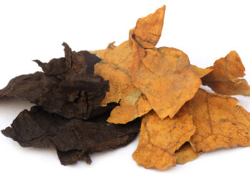 Tabak: Genussmittel im Wandel der Zeiten und Länder